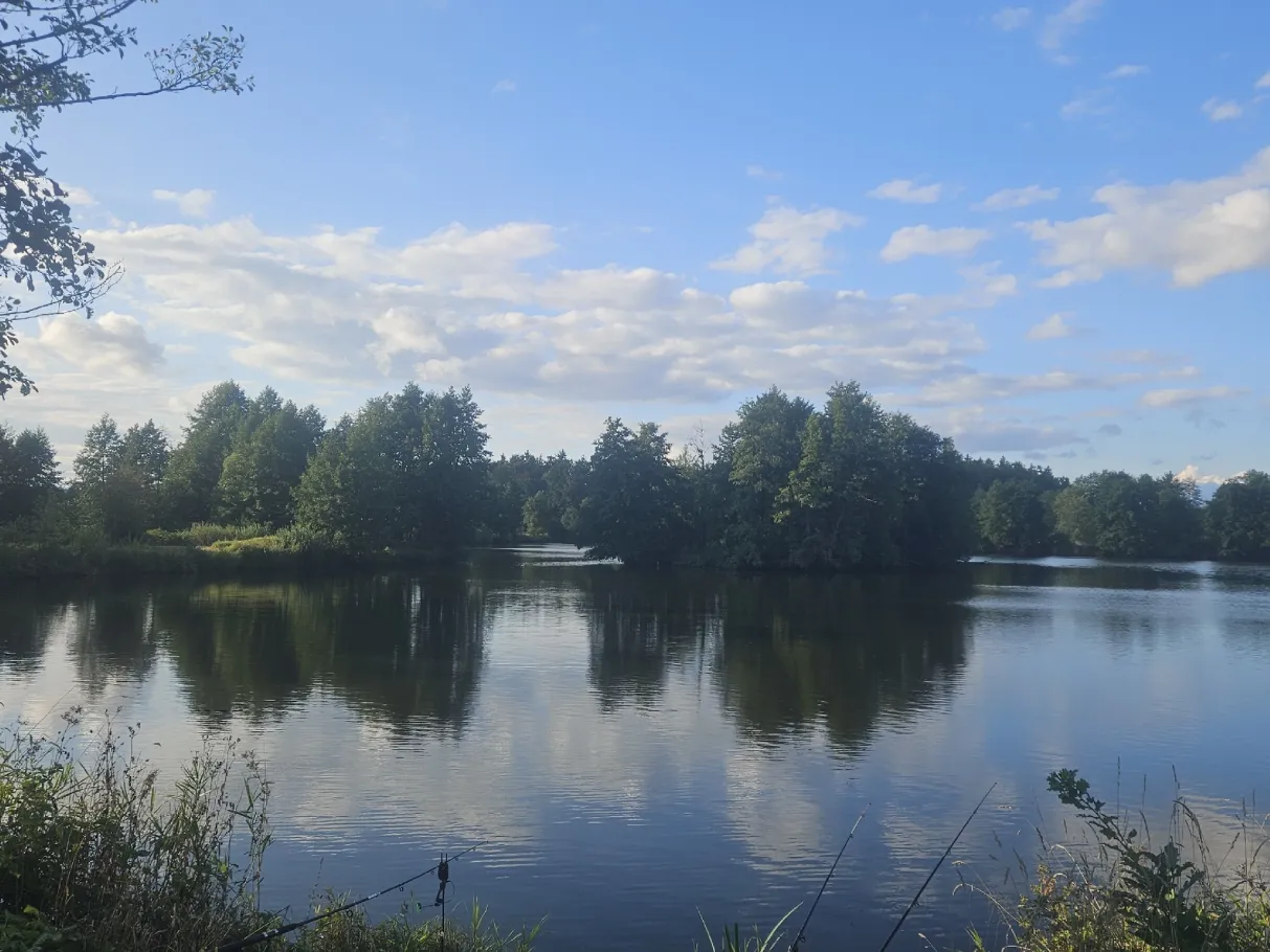 Waldnaab (Weiden i.d. Oberpfalz) angeln