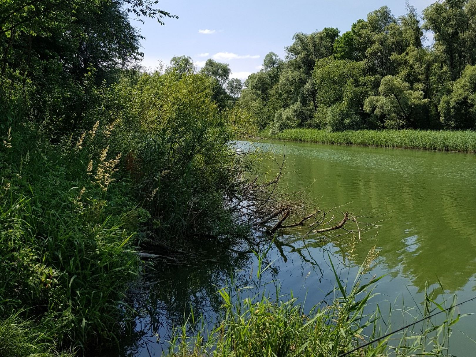 Angeln in Stubenberg