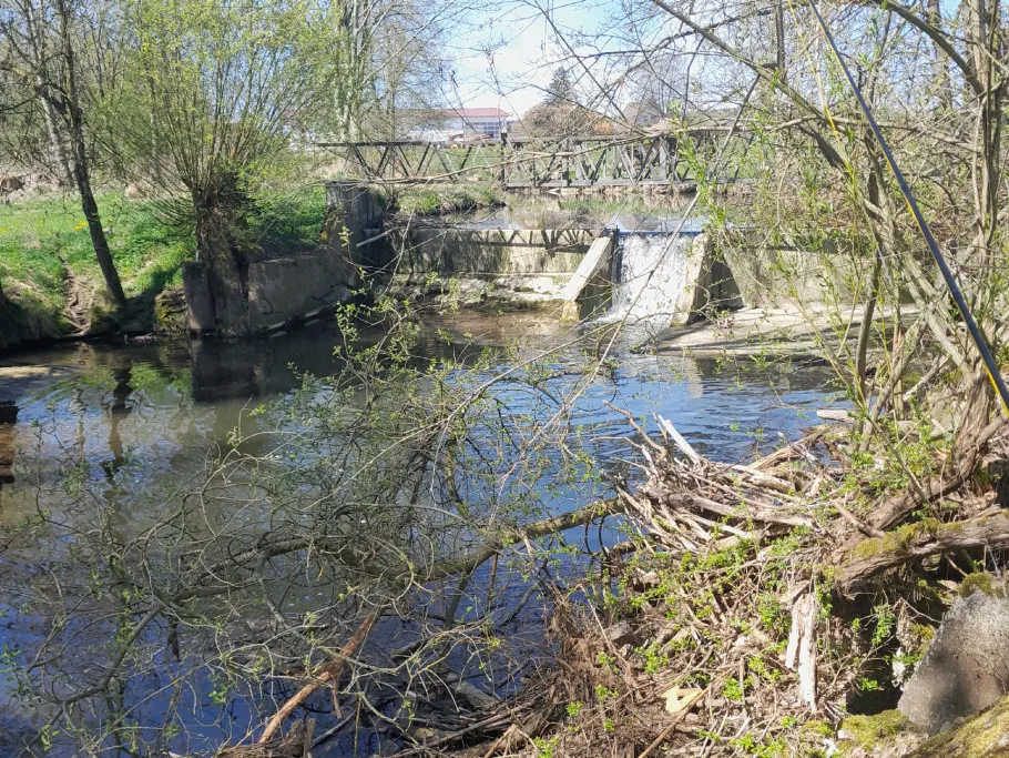 Isen (Lengdorf) angeln