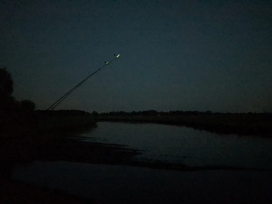 Stör (Wittenbergen) angeln