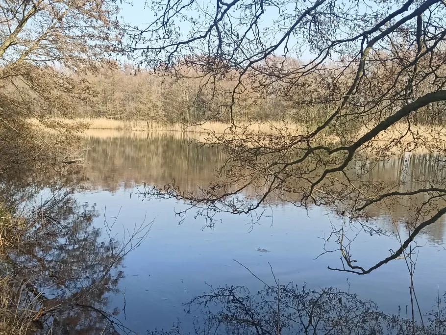 Torfteiche Sülstorf angeln