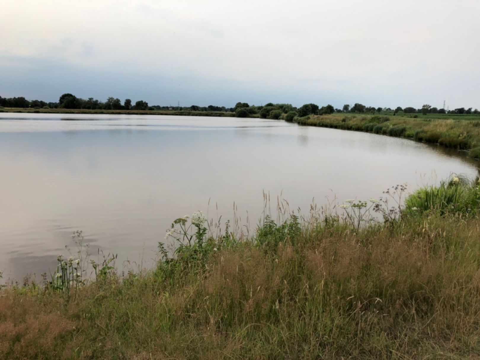 Polder am Augustfehn-Kanal angeln