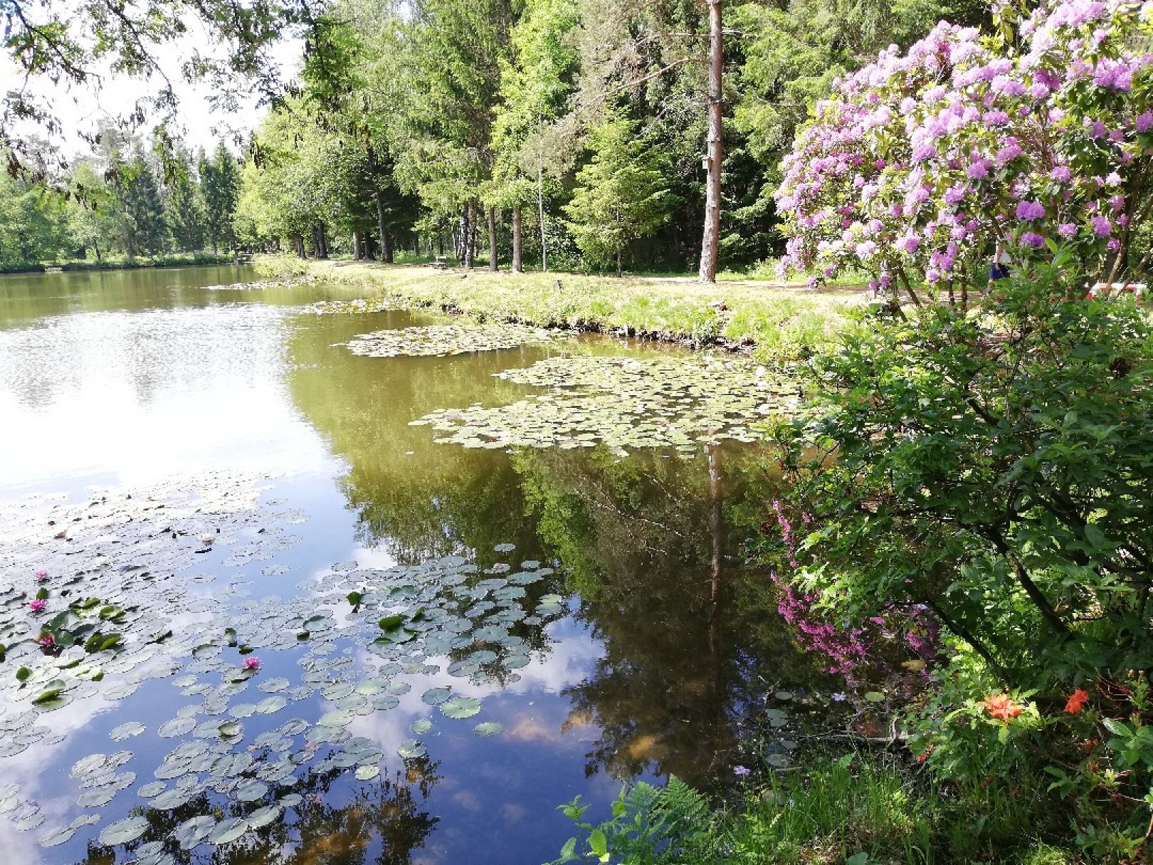 Privatteich bei Soltau angeln