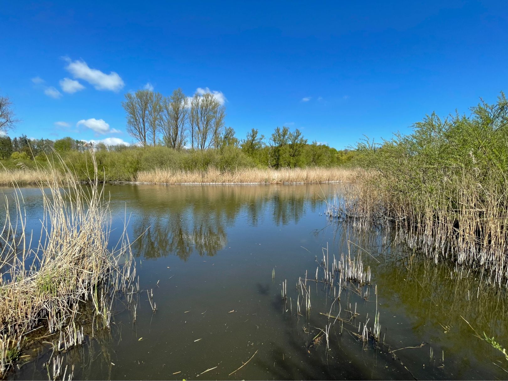 Brennermoor (Bad Oldesloe) angeln
