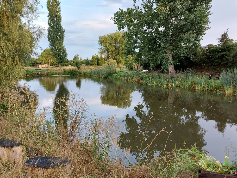 Tiefer Kolk (Selbitz) angeln