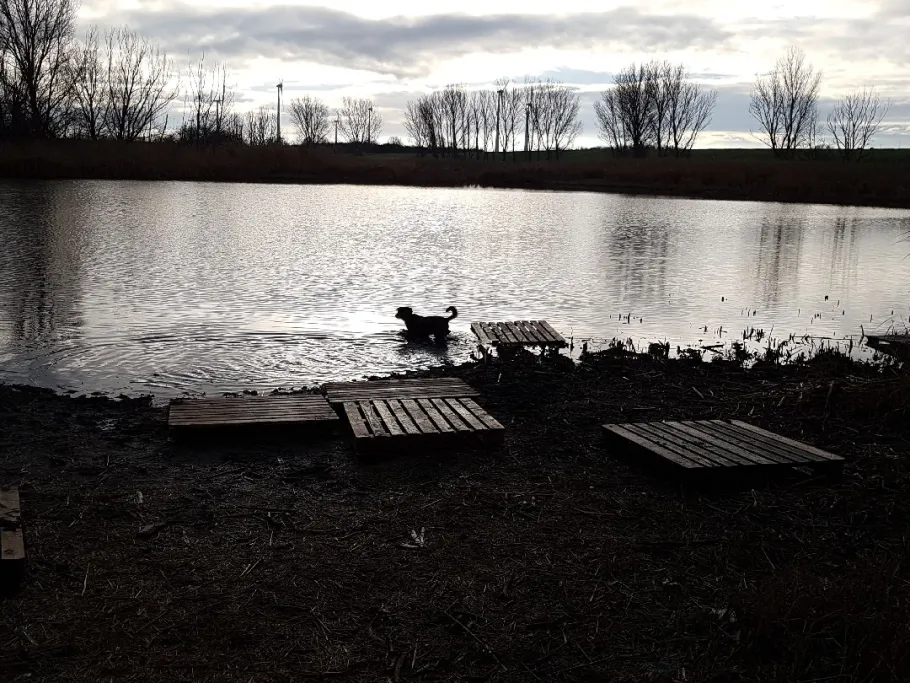 Feldschlößchen (Piethen) angeln