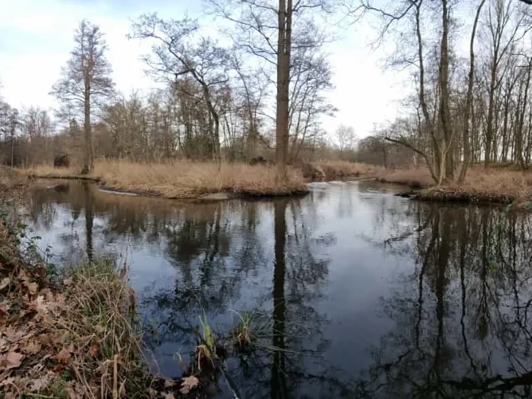 Swalm (Swalmen) angeln