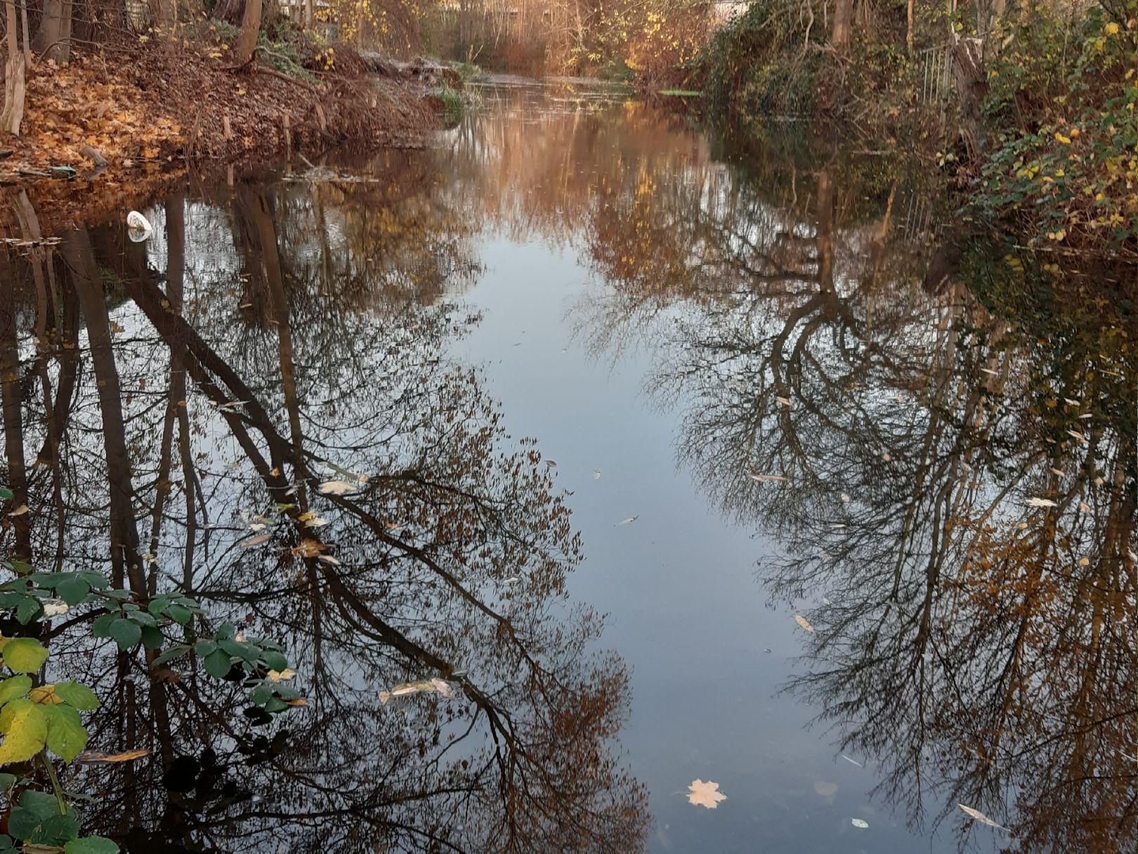 Jacobsgraben (Brandenburg an der Havel) angeln