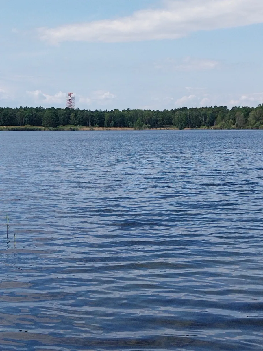 Flughafensee (Berlin-Tegel) angeln