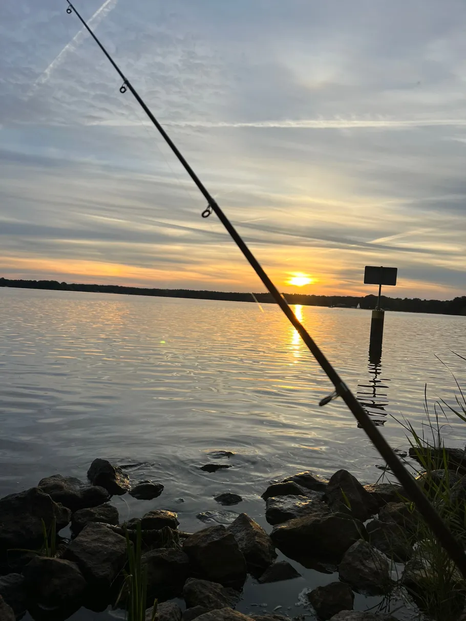 Flughafensee (Berlin-Tegel) angeln