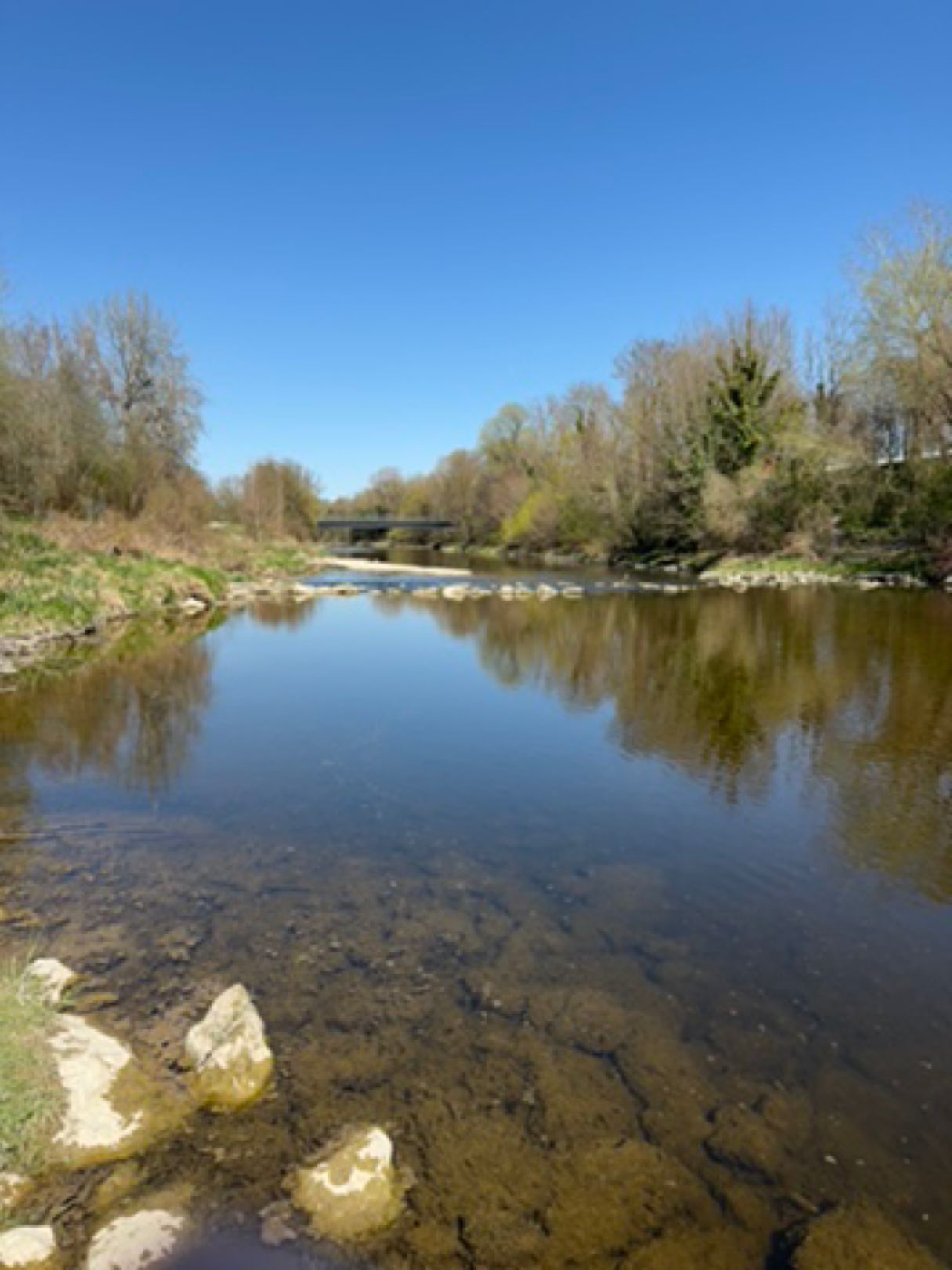 Wertachkanal (Augsburg) angeln