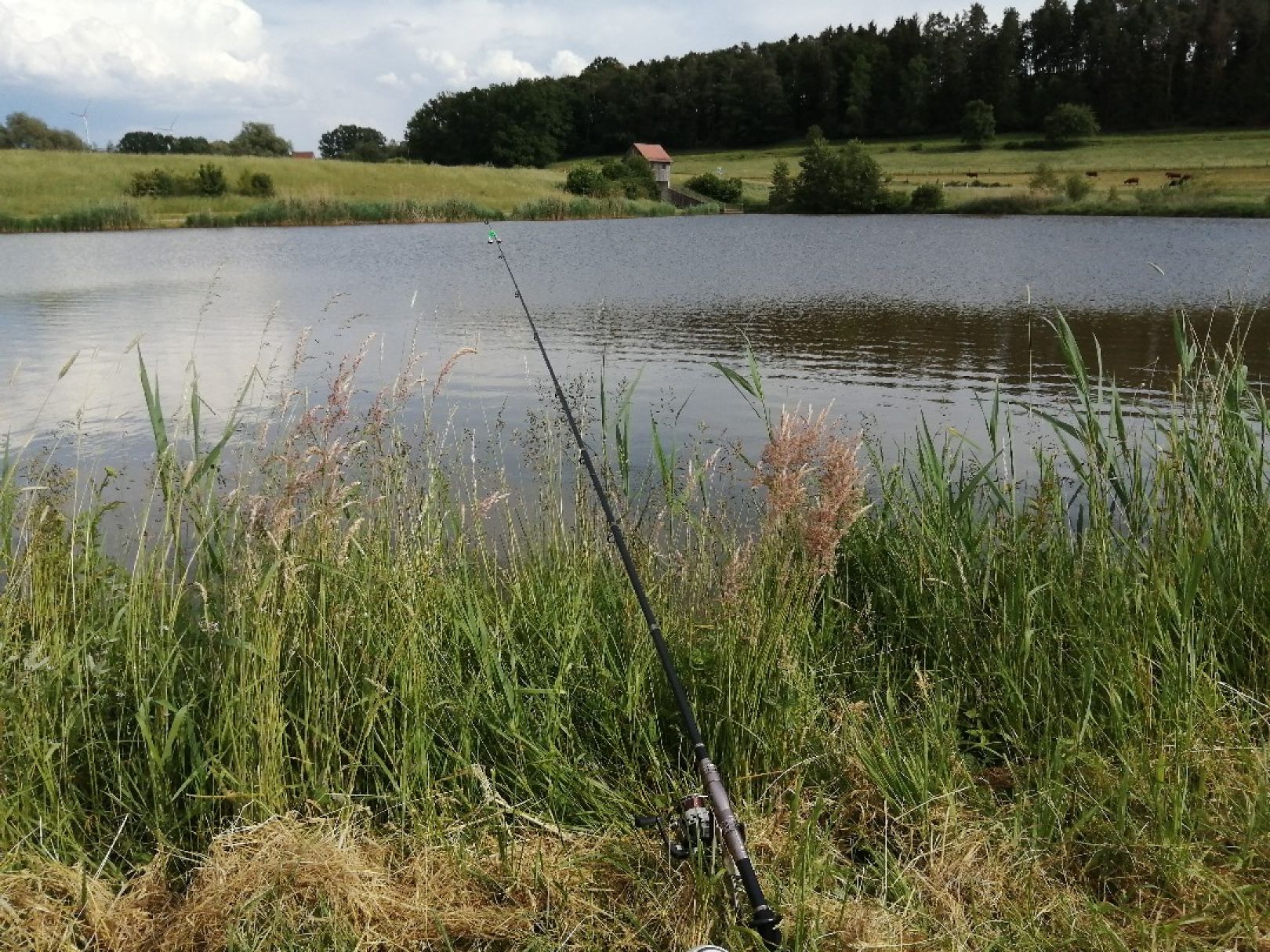 Stausee Burghaslach angeln