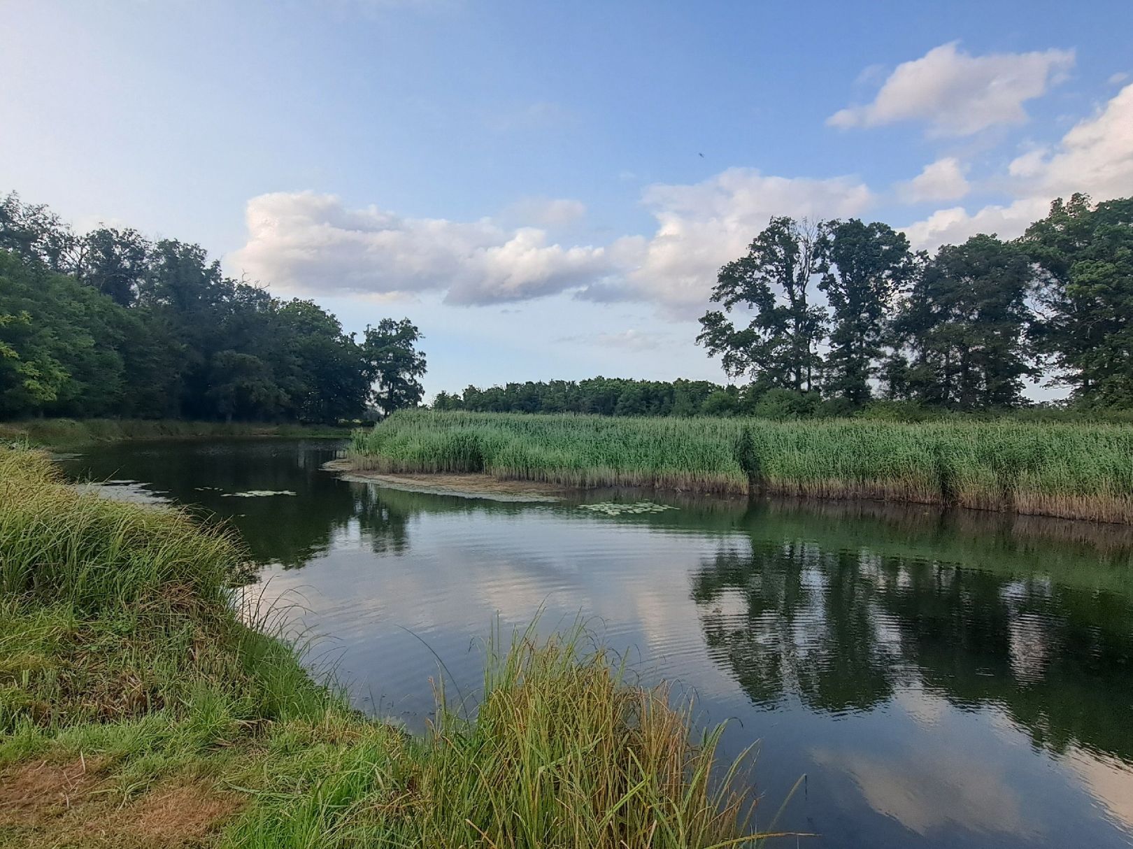 Große Bräge (Wörlitz) angeln