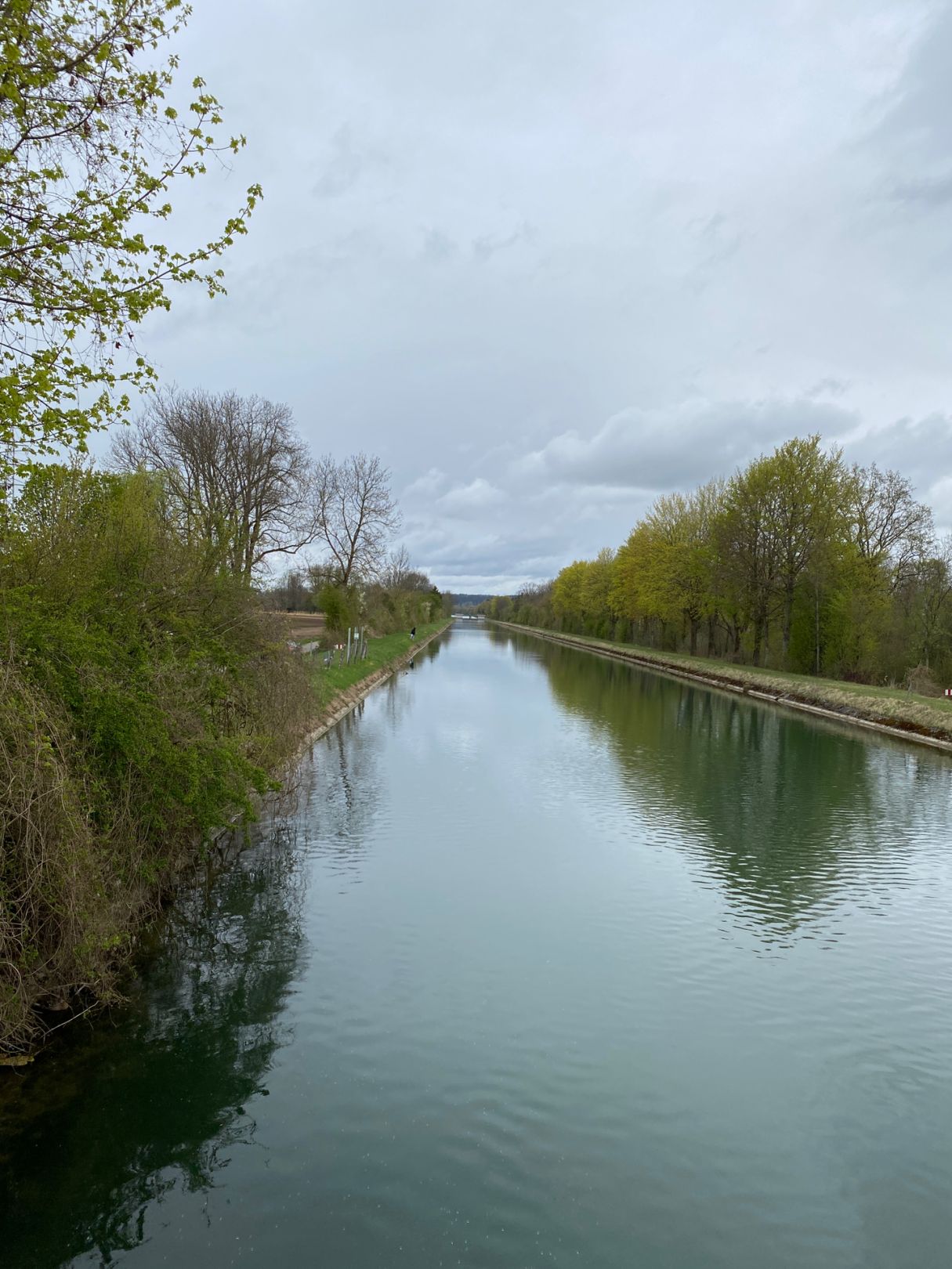 Illerkanal (Dettingen) angeln