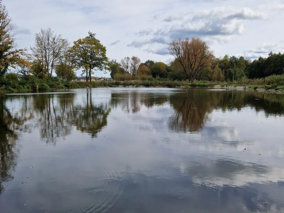 Brander Weiher (Eckental) angeln
