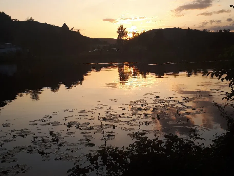 Main (Miltenberg) angeln