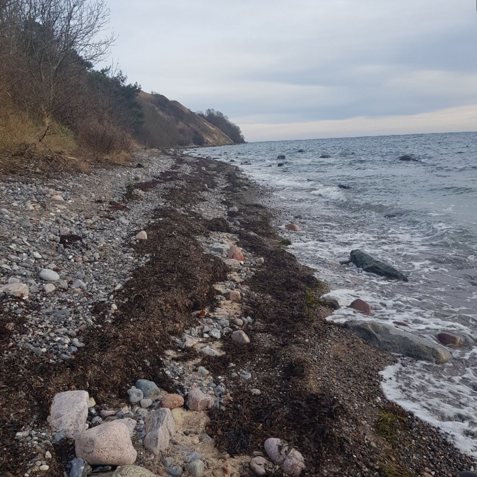 Ostsee (Putgarten) angeln