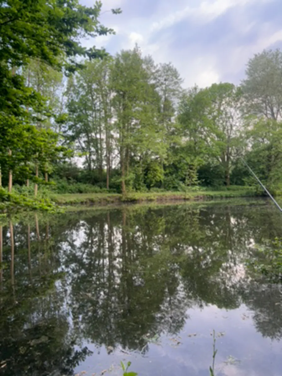 Knabenbachteich (Stadtlohn) angeln
