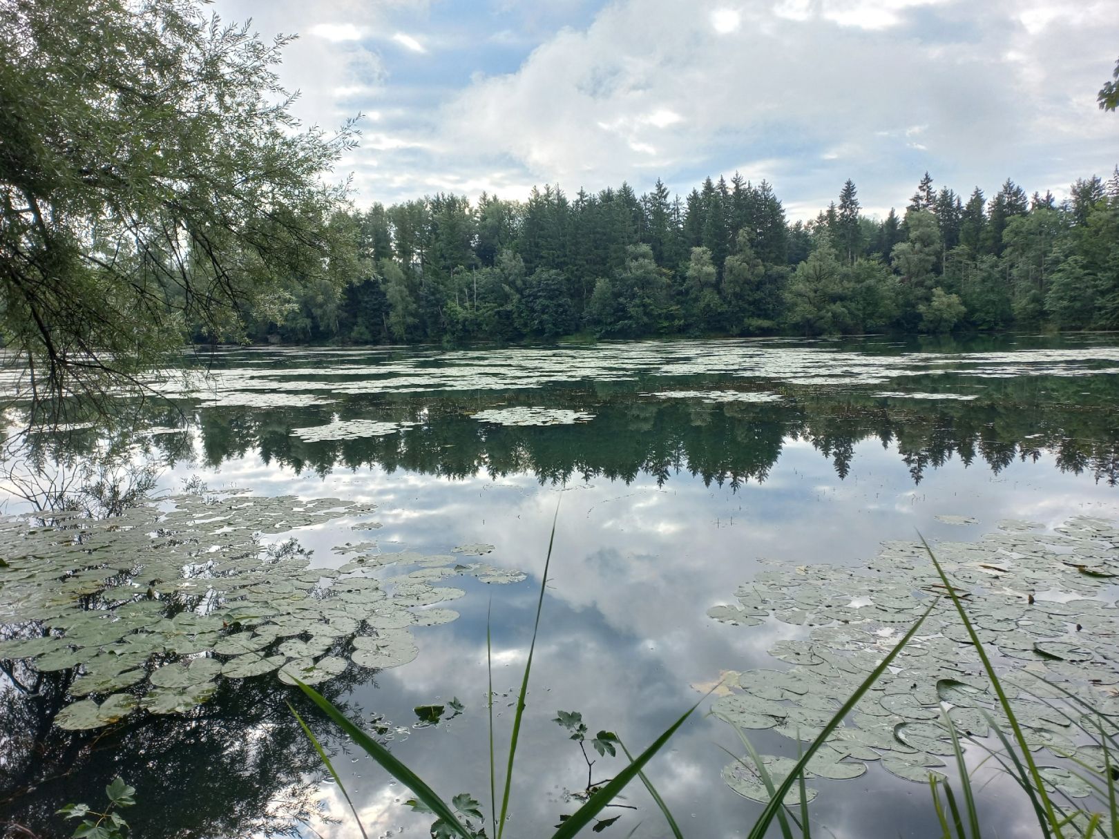 Jagdhaussee (Rohrdorf) angeln