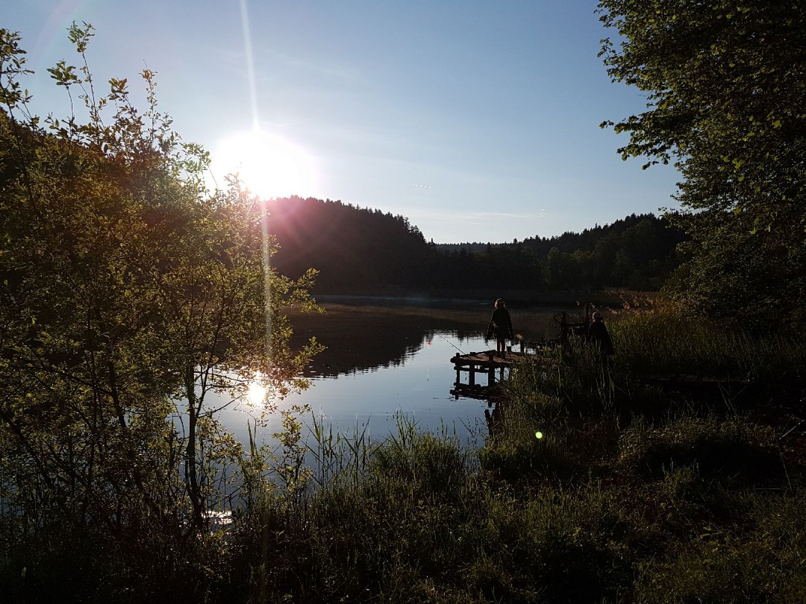 Thanninger Weiher angeln