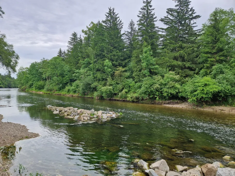 Alz (Emmerting) angeln