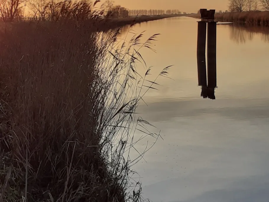 Veenhuser Sieltief angeln
