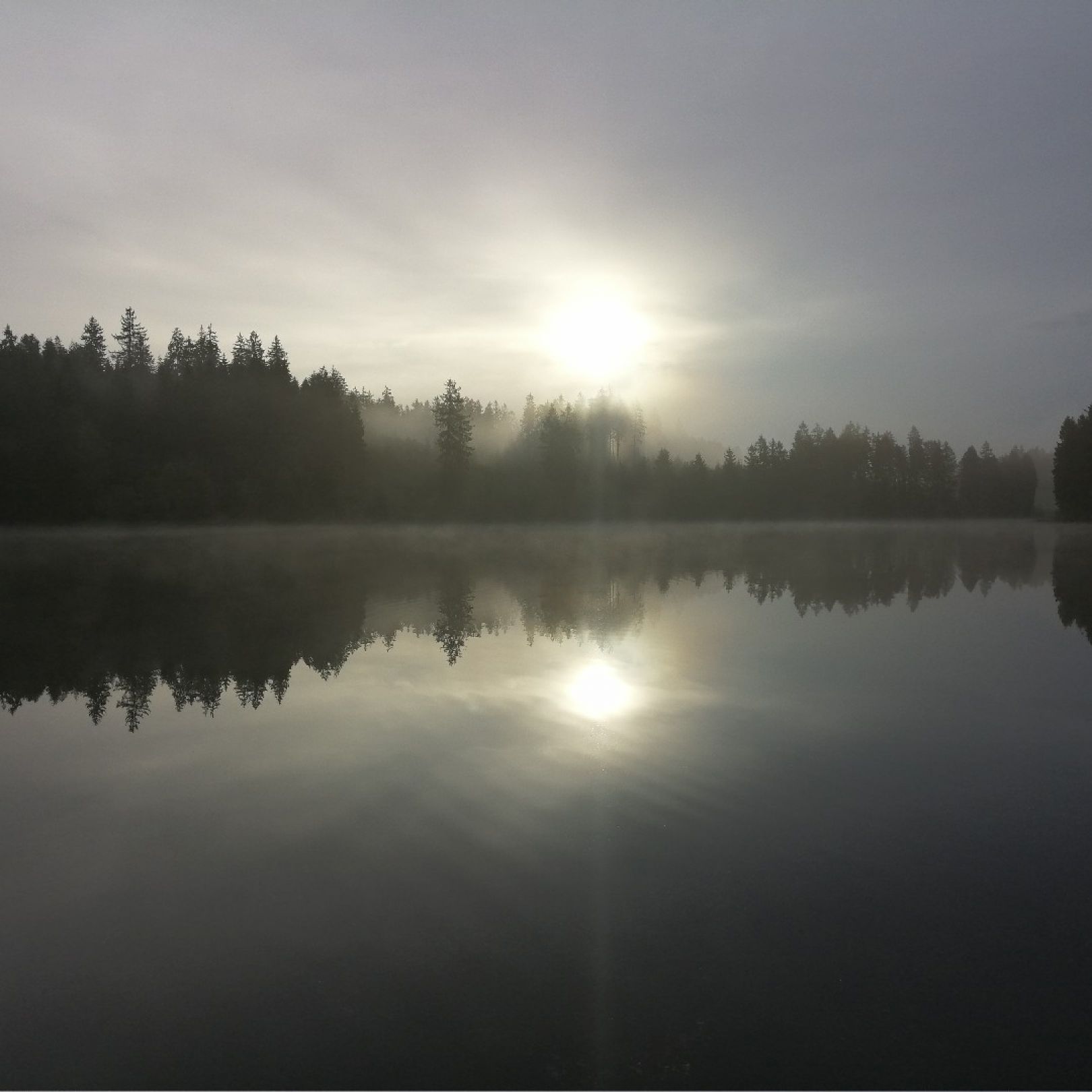 Prinzenteich (Clausthal-Zellerfeld) angeln