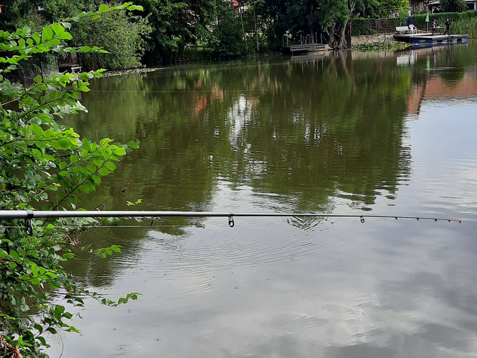 Mühlenteich (Schermcke) angeln