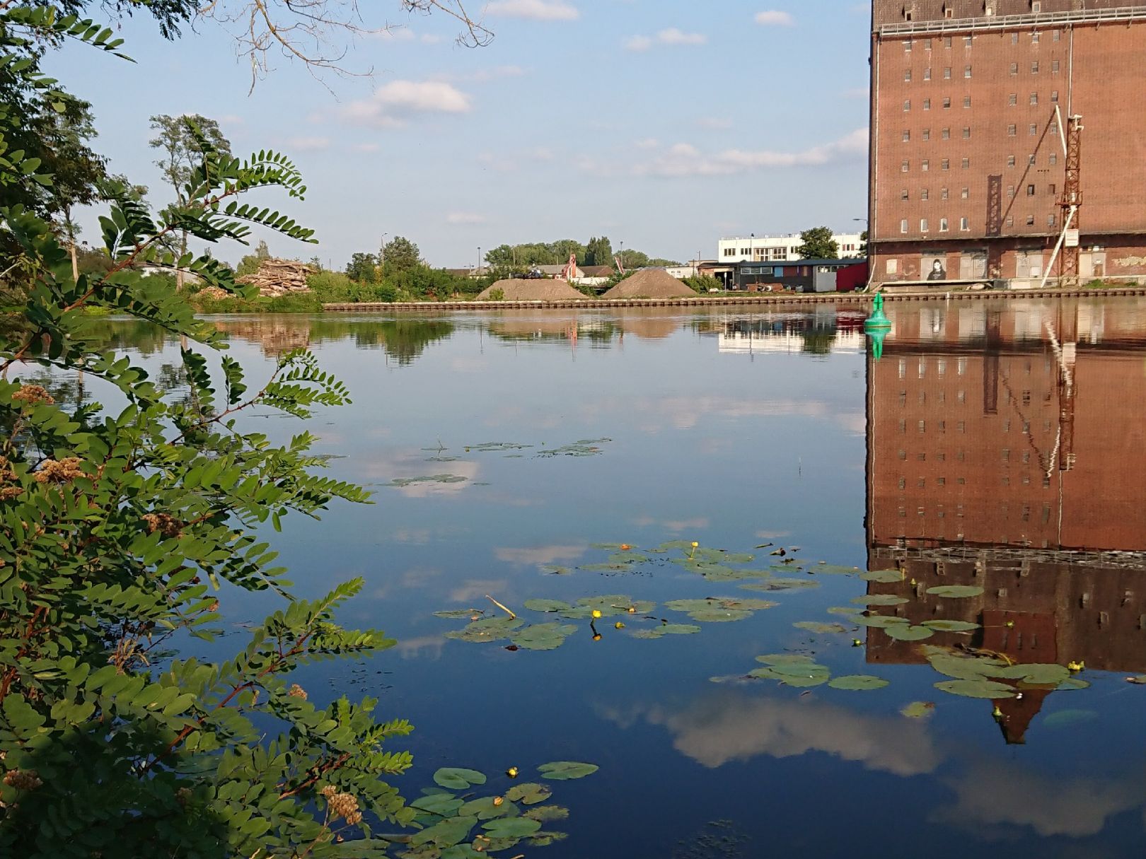 Oder-Spree-Kanal (Eisenhüttenstadt) angeln