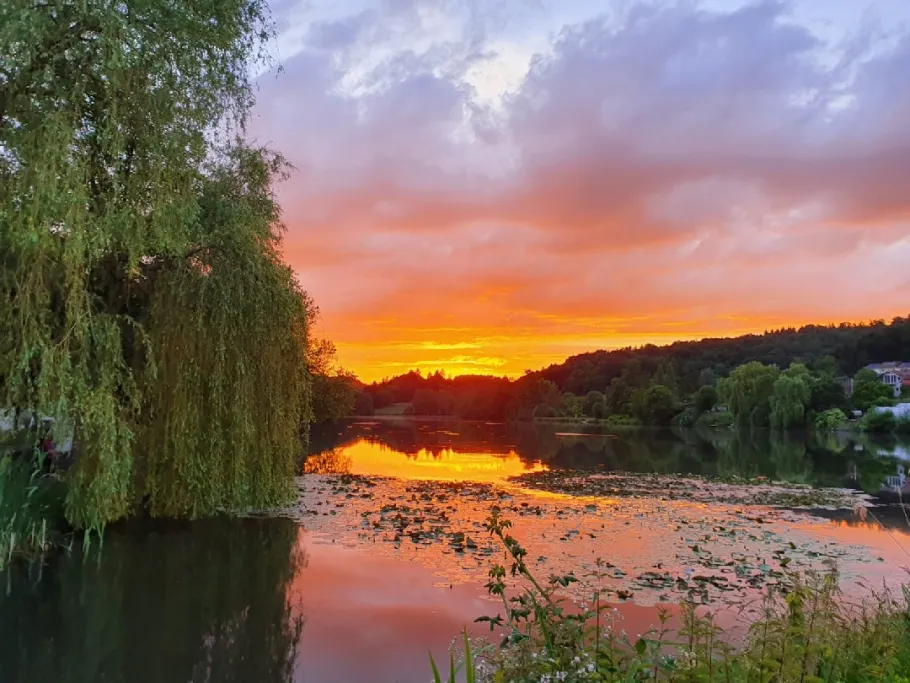 Würzbacher Weiher angeln