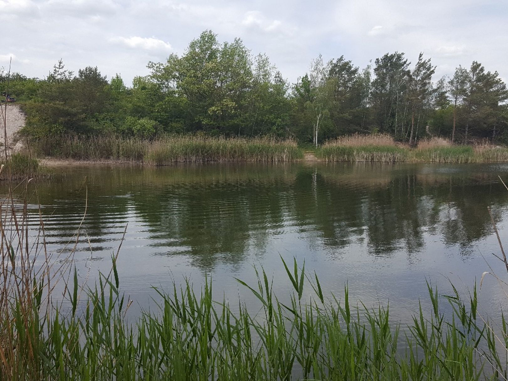 Müller´s Loch (Lieskau) angeln