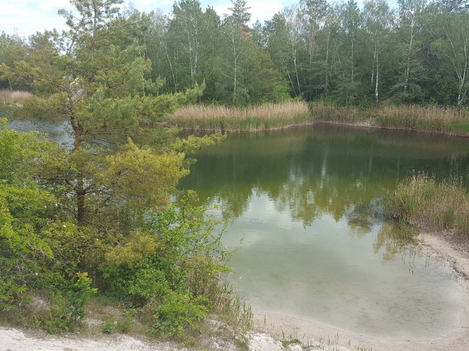 Müller´s Loch (Lieskau) angeln
