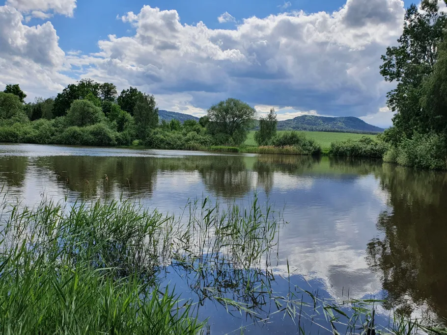 Schleienlache (Hartau) angeln