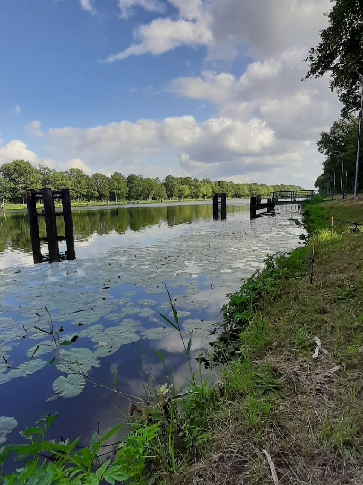 Dortmund-Ems-Kanal (Geeste -Osterbrock) angeln