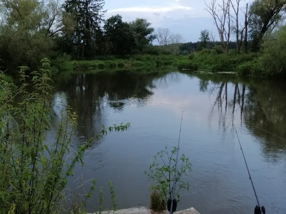 Wörnitz (Auhausen) angeln