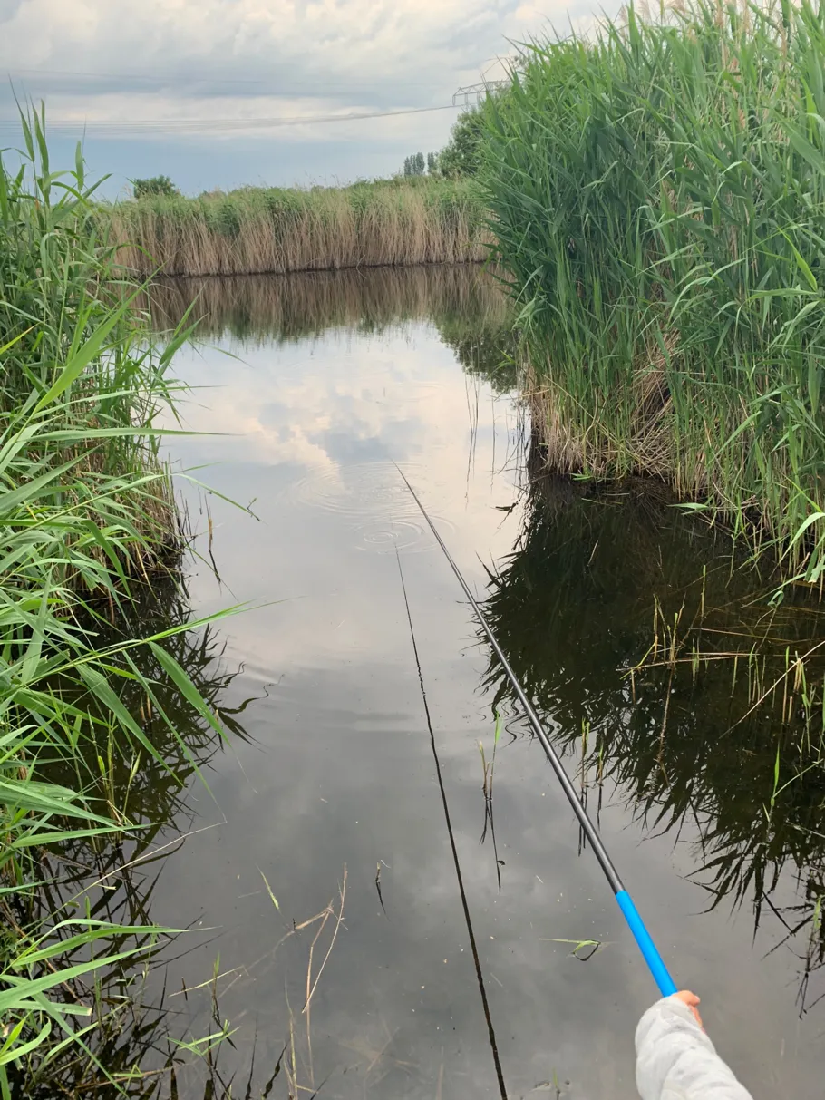 Mahlbusen (Nauen) angeln