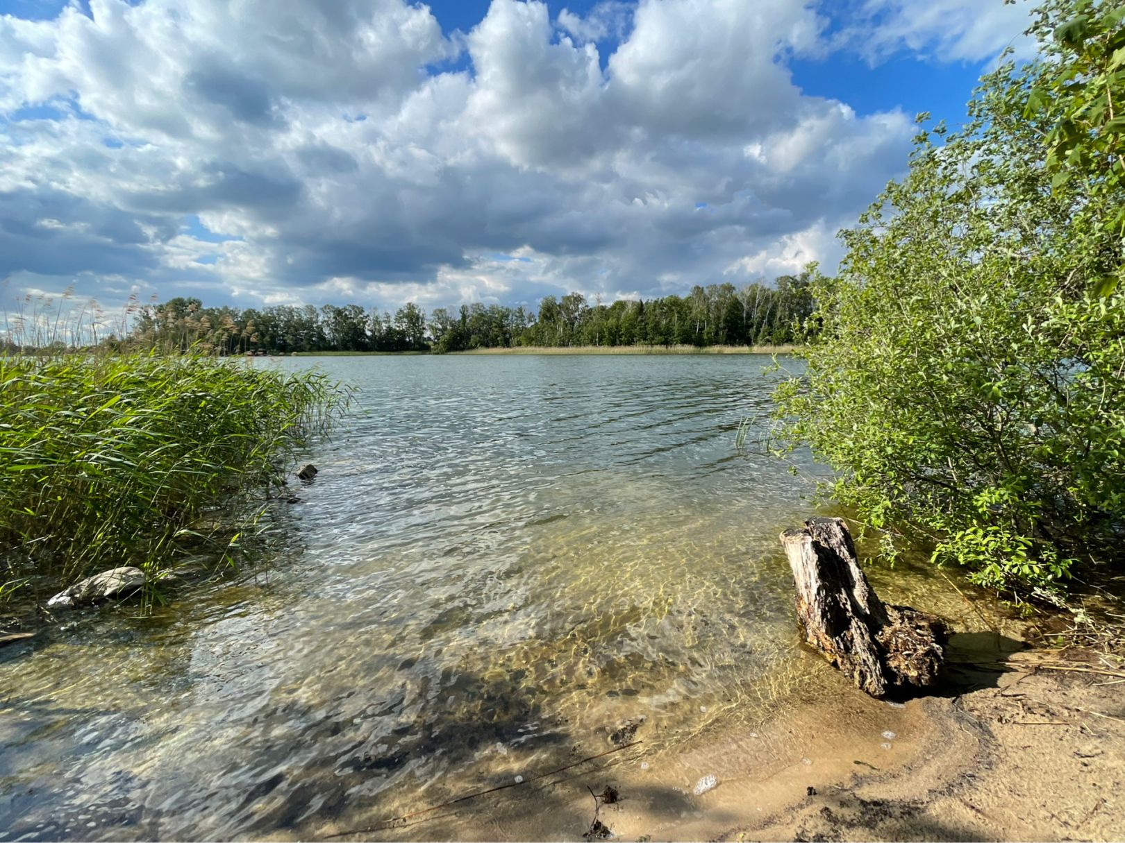 Angeln in Löcknitz