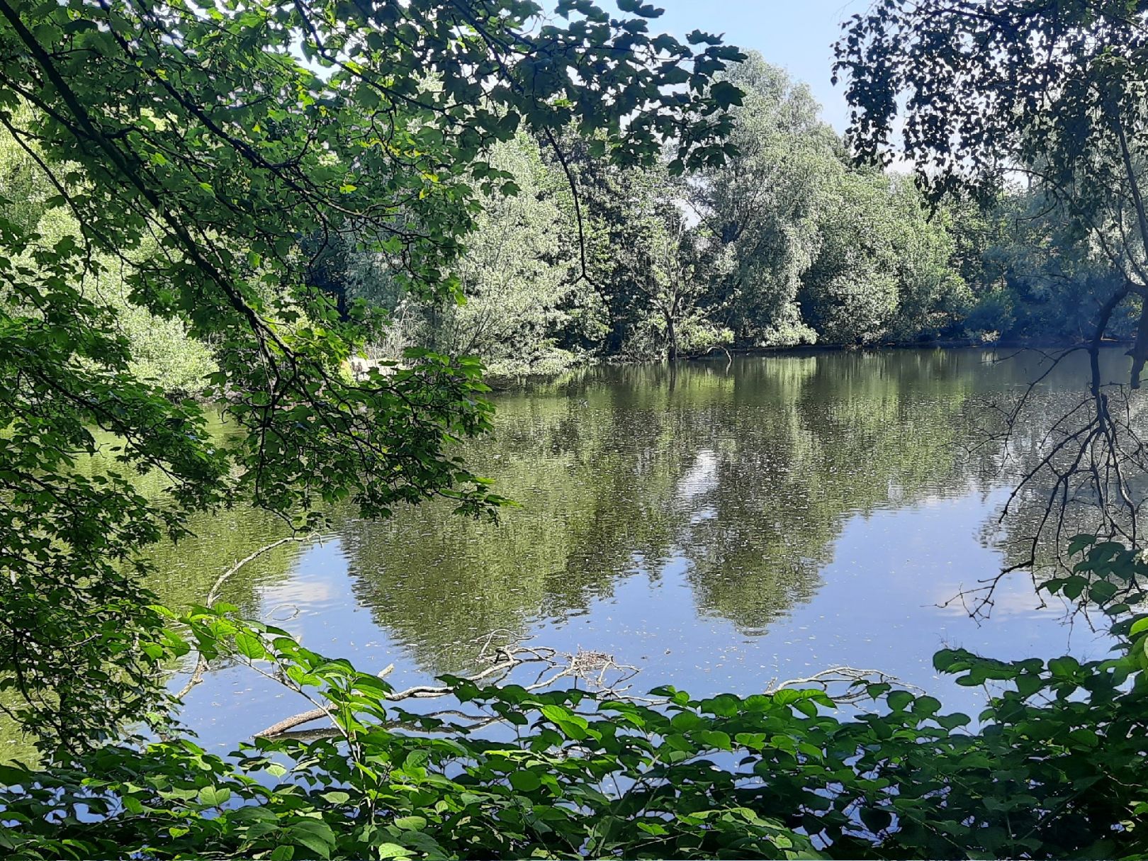 Ziegelteich Hamburg-Stellingen angeln