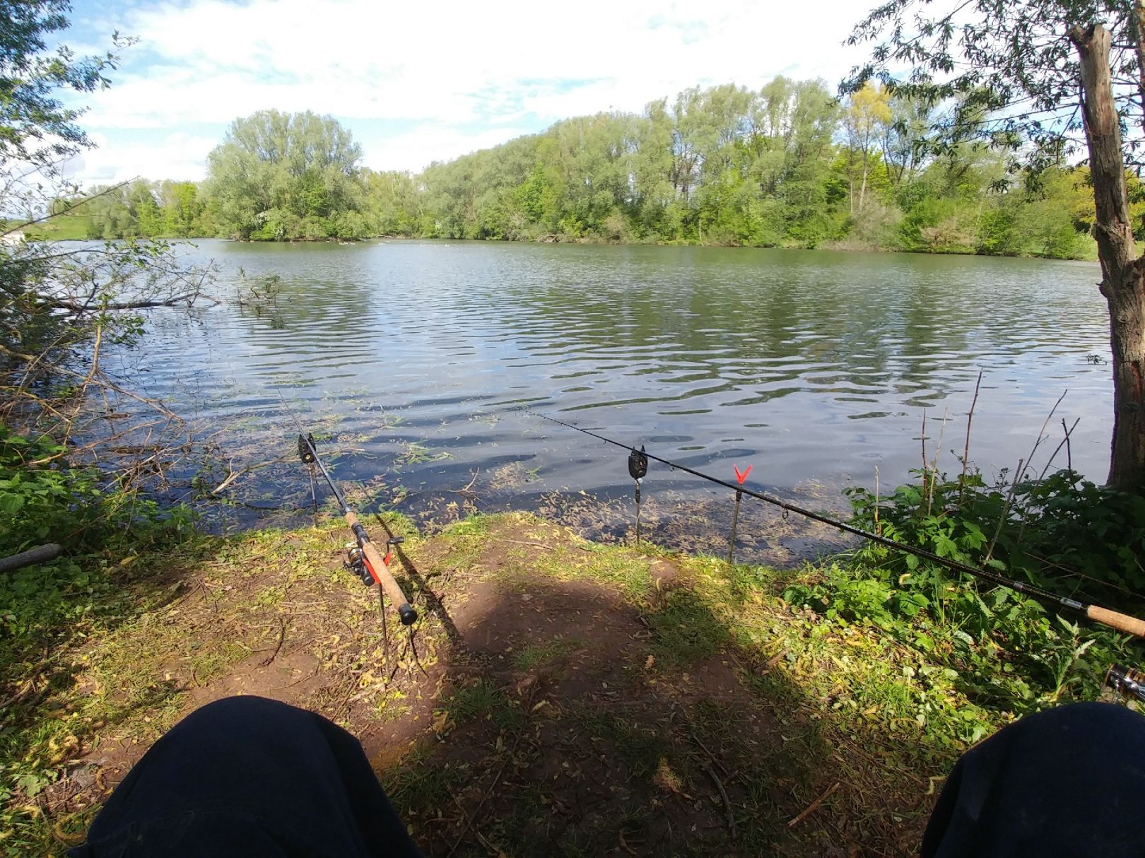 Wendebachstausee angeln