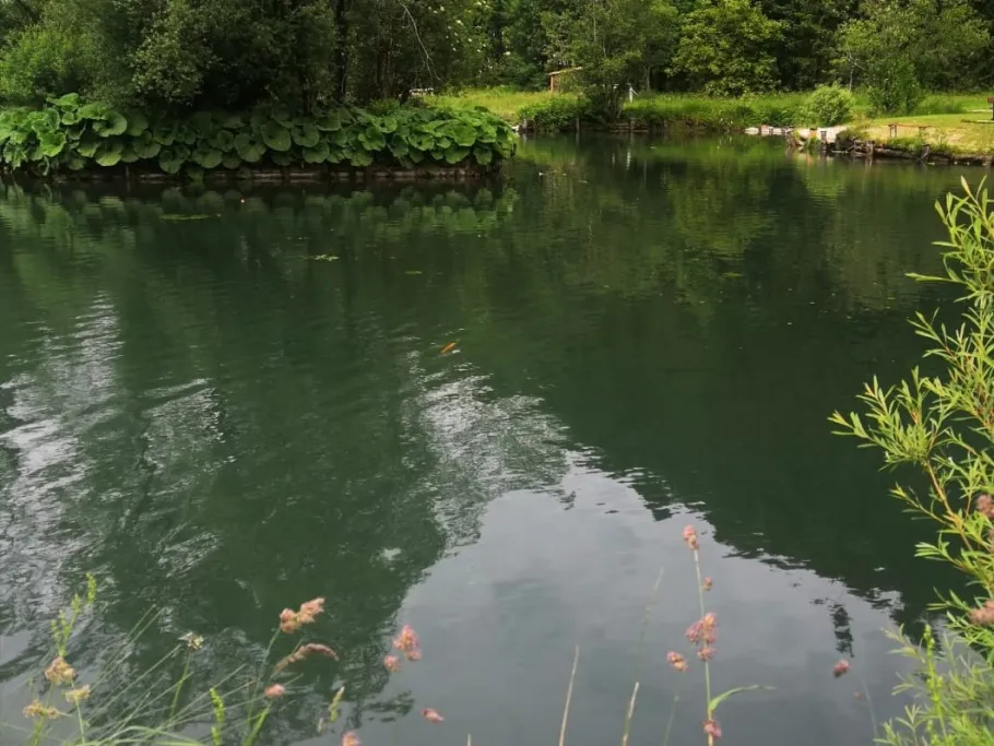 Karners Angelteich angeln