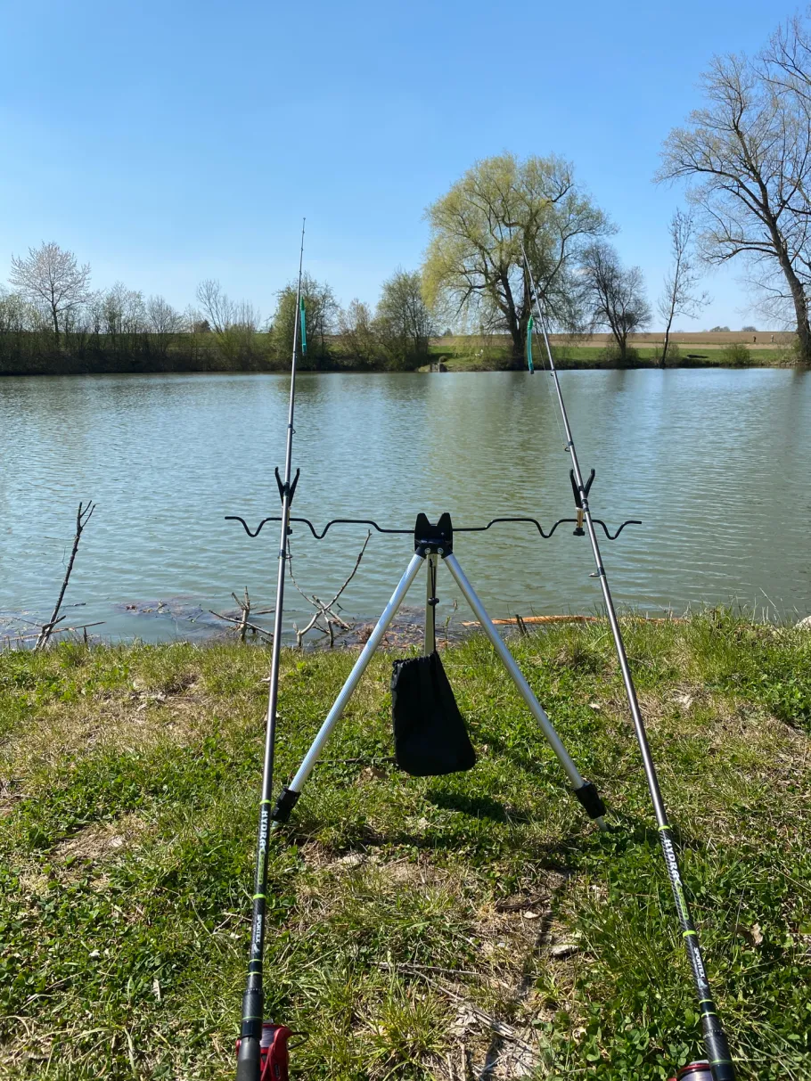 Hoferweiher (Steindorf) angeln