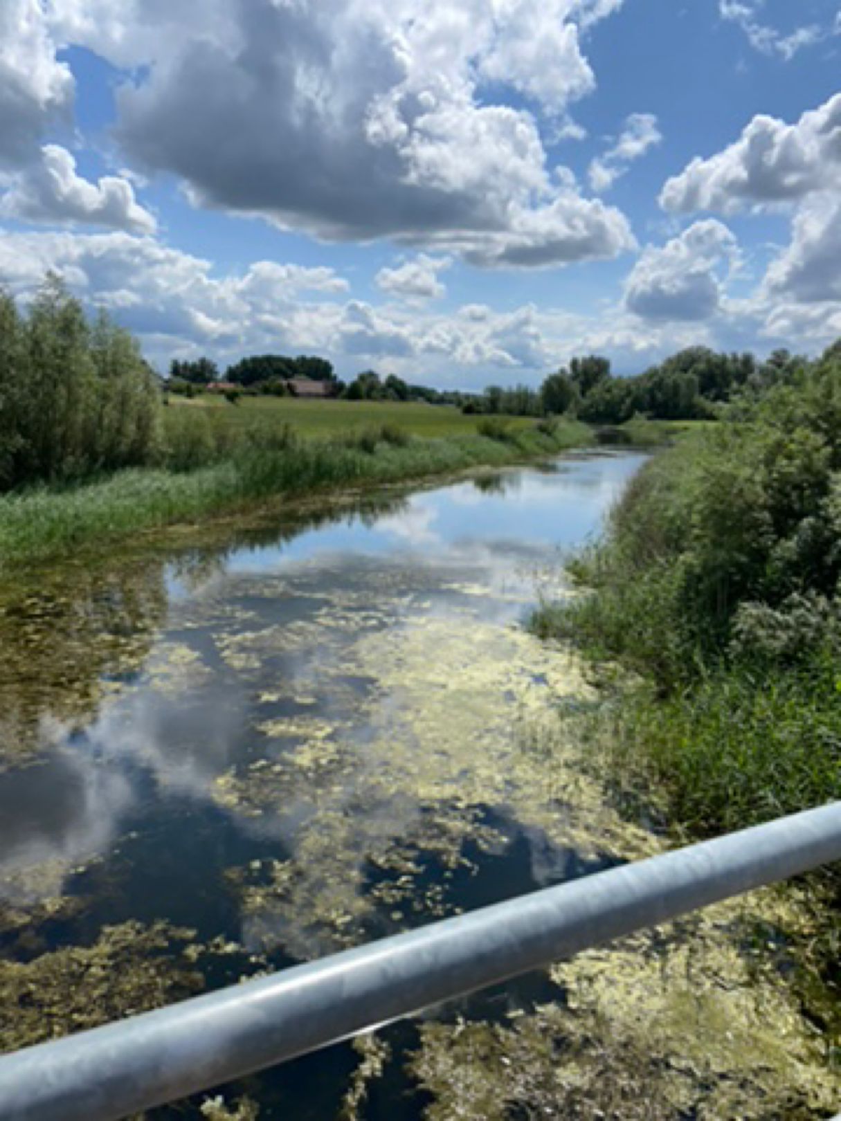 Wateren buitendijks langs de Rijndijk (Westervoort) angeln