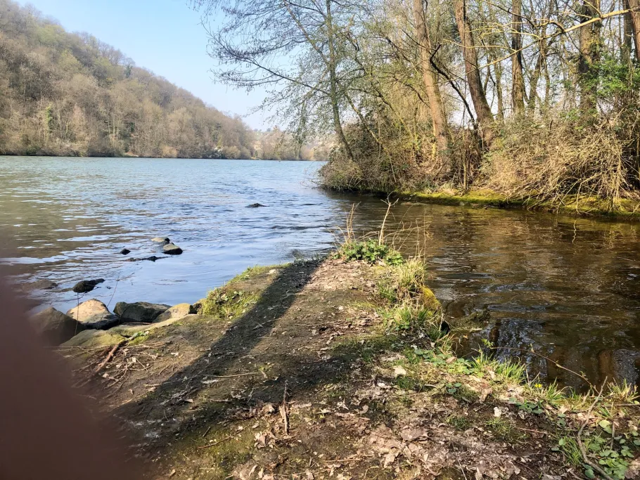 Neckar (Poppenweiler) angeln