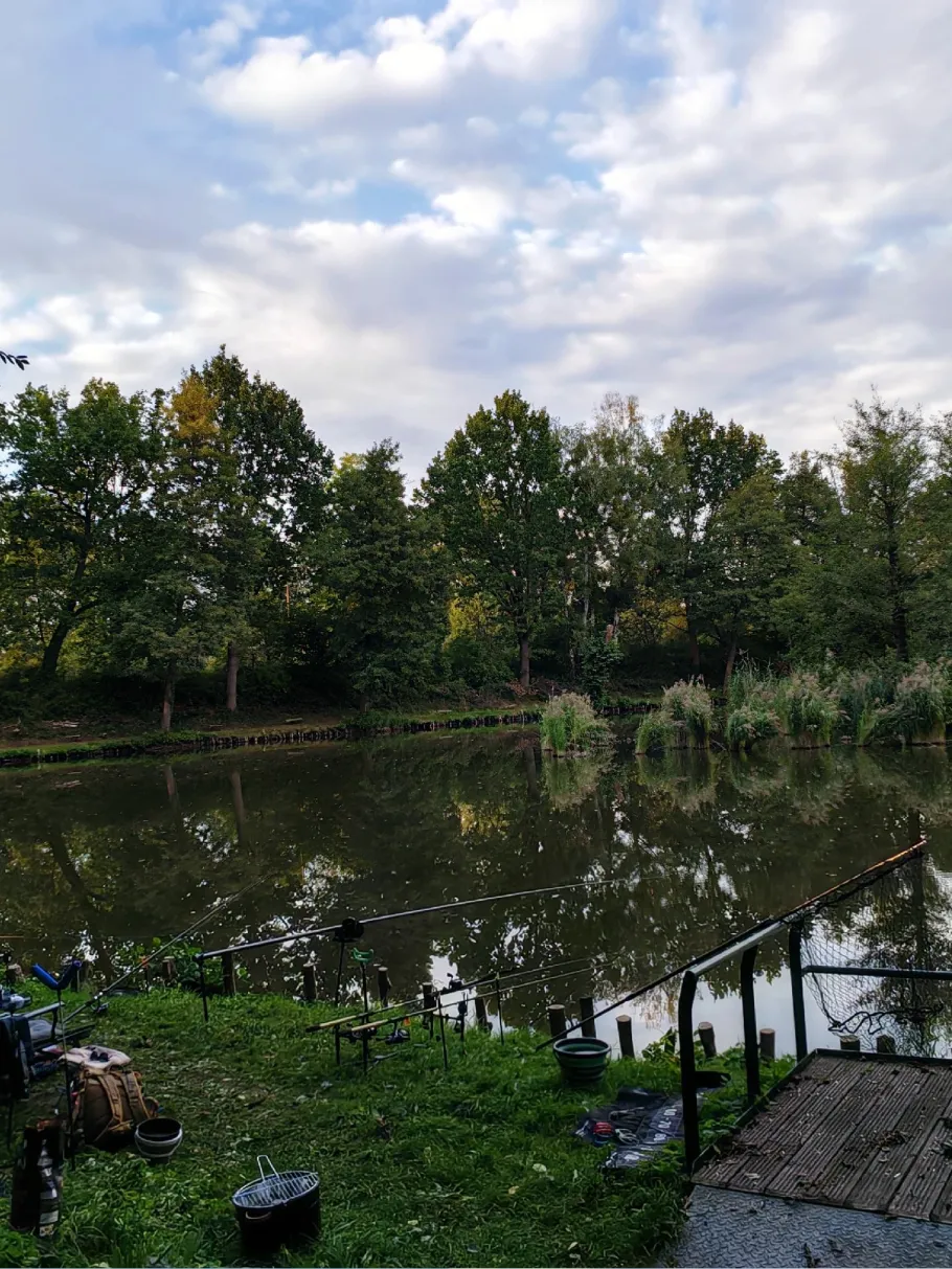 Karpfenteich Biethe (Roßlau) angeln