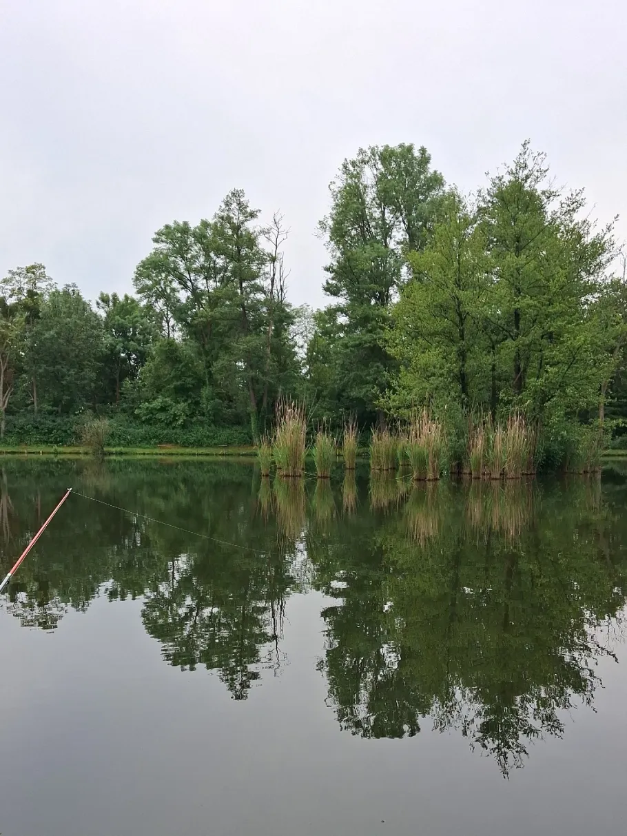 Karpfenteich Biethe (Roßlau) angeln