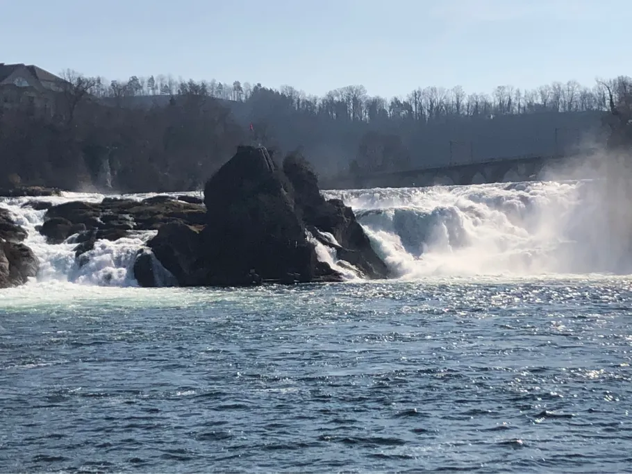 Rhein (Schaffhausen) angeln