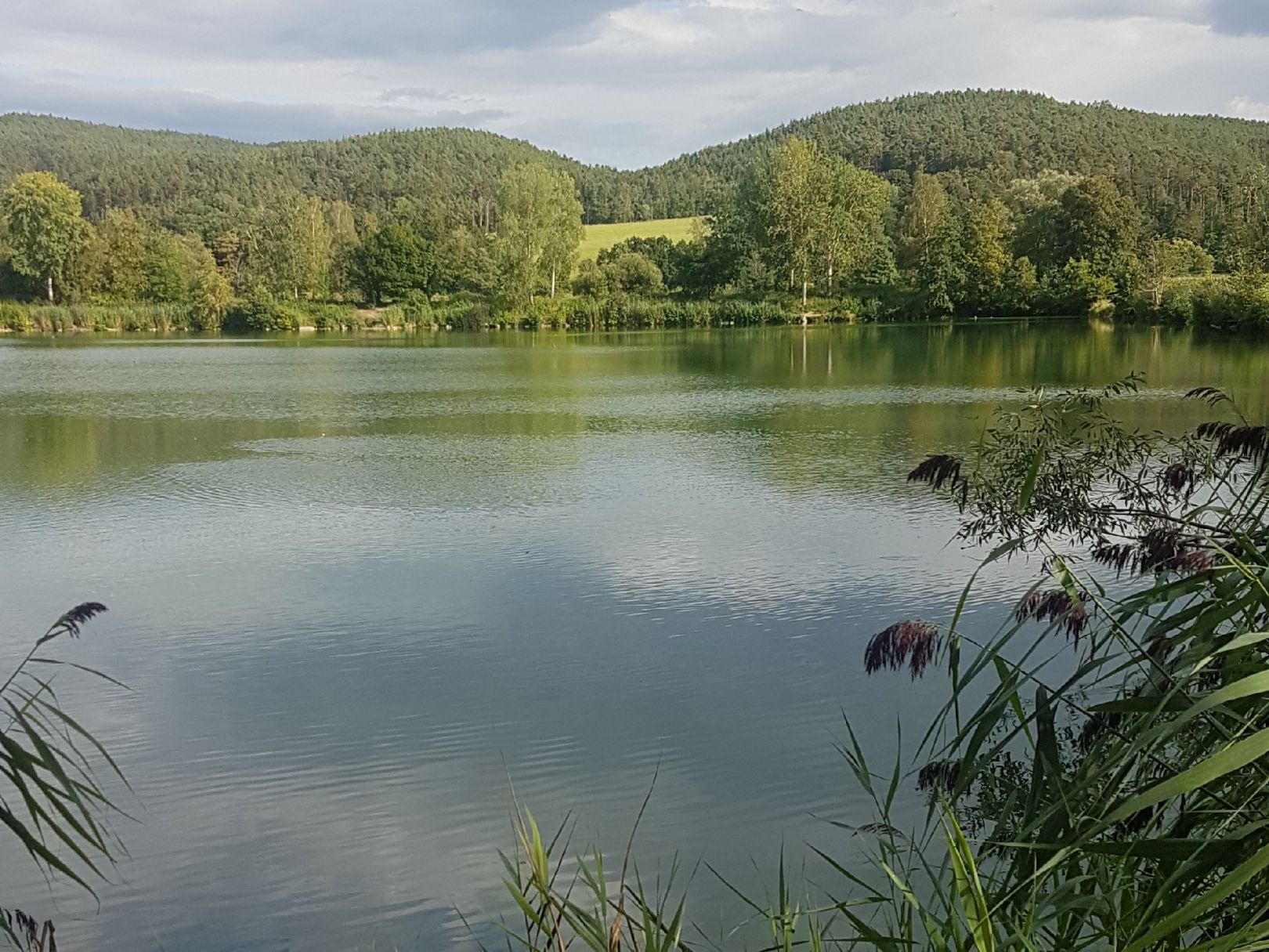 Wagner Weiher (Regenstauf) angeln