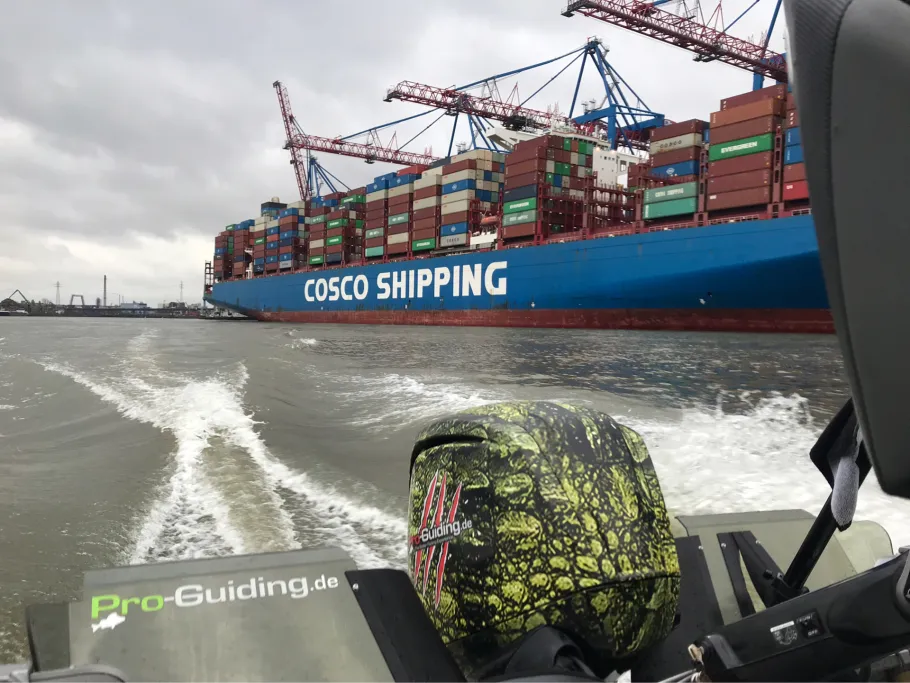 Hamburger Hafen (Steinwerder) angeln