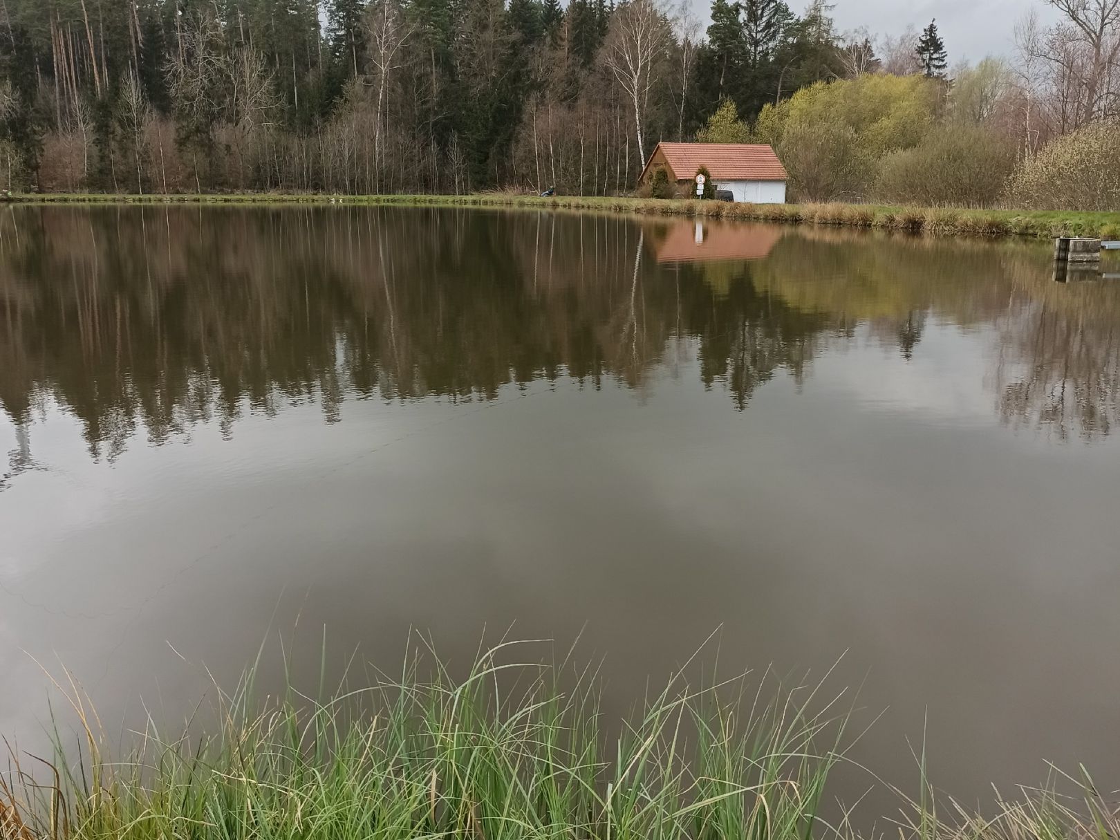 Witzlebensteich angeln