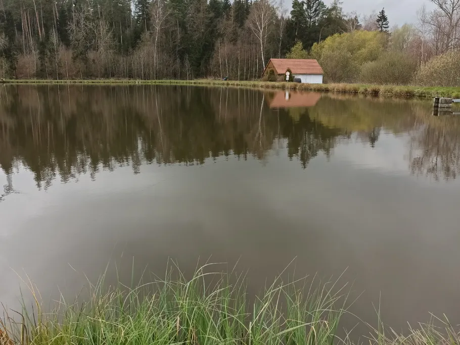 Witzlebensteich angeln